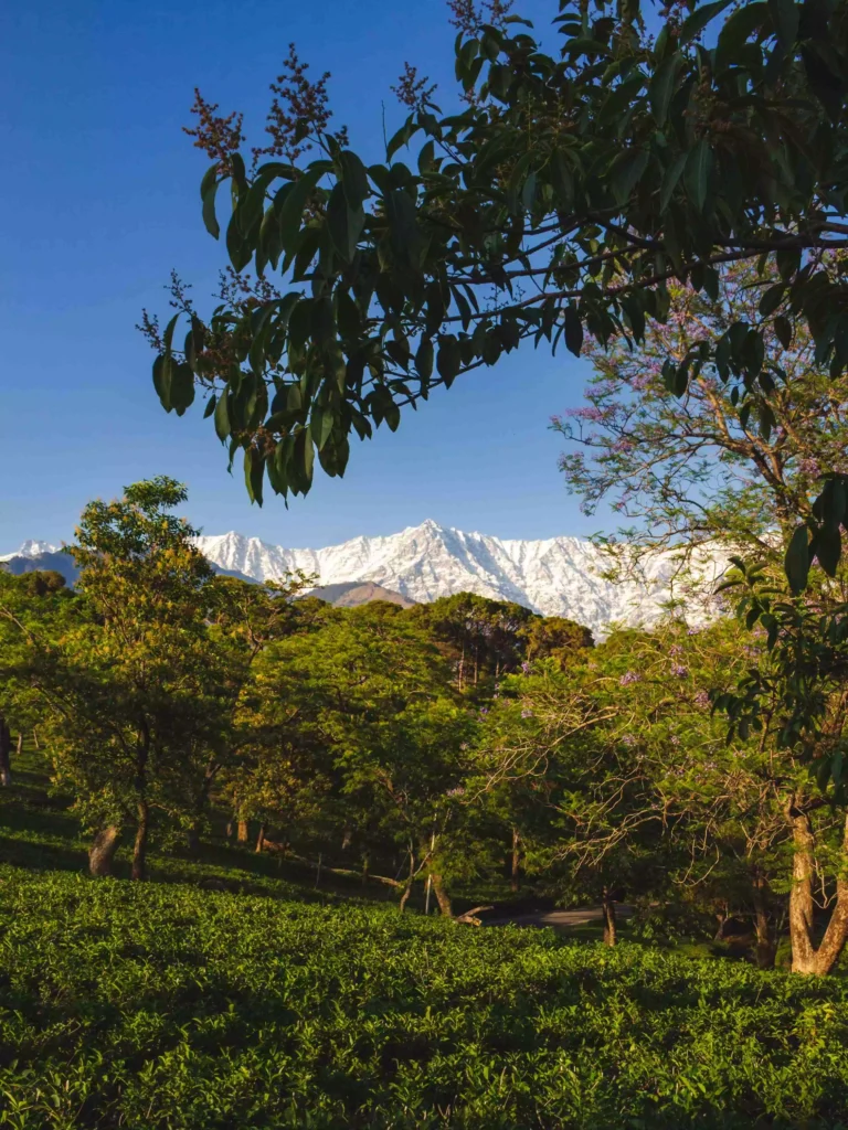 Dharamshala Dalhousie