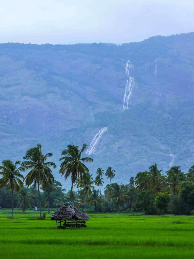 Kerala Backwaters